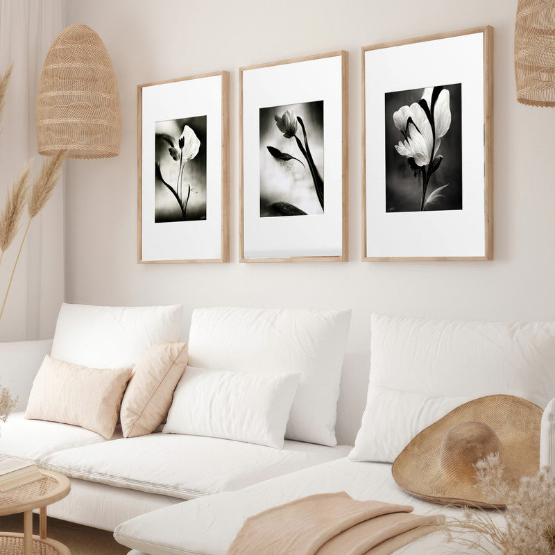 LuxuryStroke's Flower Artwork Black And White, Acrylic Floral Paintingand Flowers Abstract - Botanical Art -Set Of 3 Monochrome Botanical Paintings