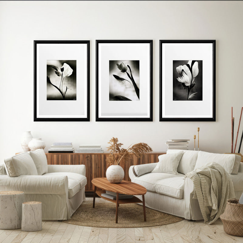 LuxuryStroke's Flower Artwork Black And White, Acrylic Floral Paintingand Flowers Abstract - Botanical Art -Set Of 3 Monochrome Botanical Paintings