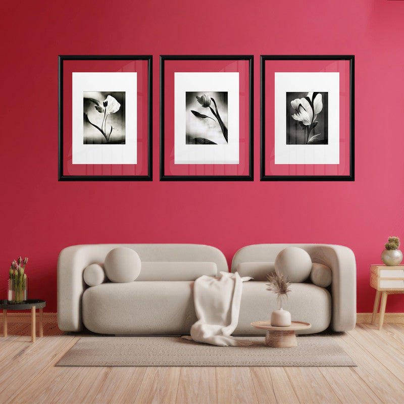 LuxuryStroke's Flower Artwork Black And White, Acrylic Floral Paintingand Flowers Abstract - Botanical Art -Set Of 3 Monochrome Botanical Paintings