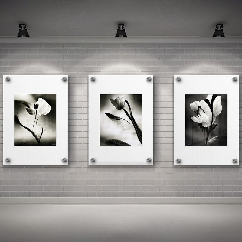 LuxuryStroke's Flower Artwork Black And White, Acrylic Floral Paintingand Flowers Abstract - Botanical Art -Set Of 3 Monochrome Botanical Paintings