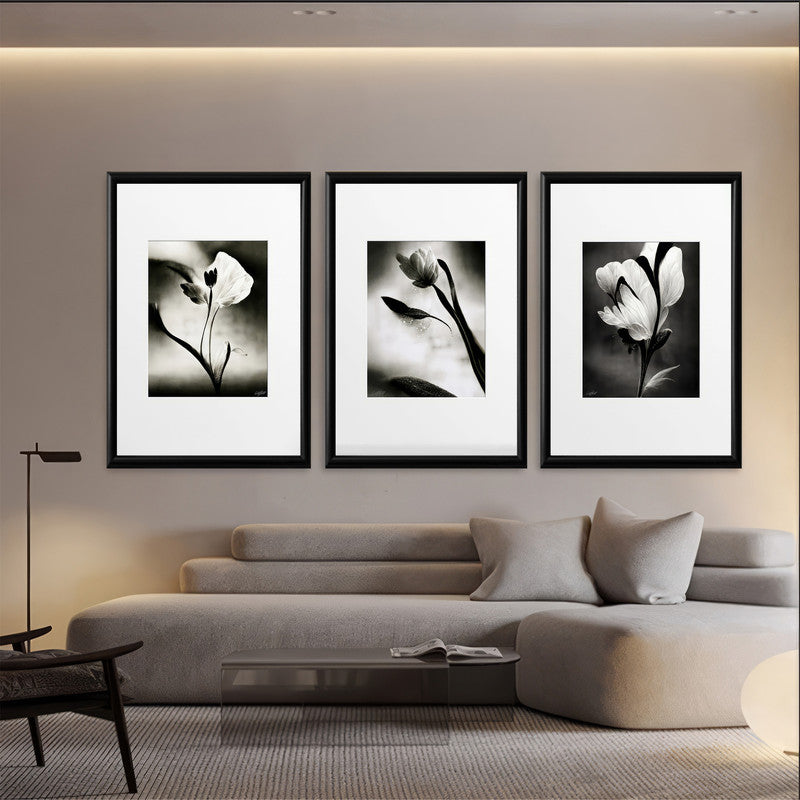 LuxuryStroke's Flower Artwork Black And White, Acrylic Floral Paintingand Flowers Abstract - Botanical Art -Set Of 3 Monochrome Botanical Paintings
