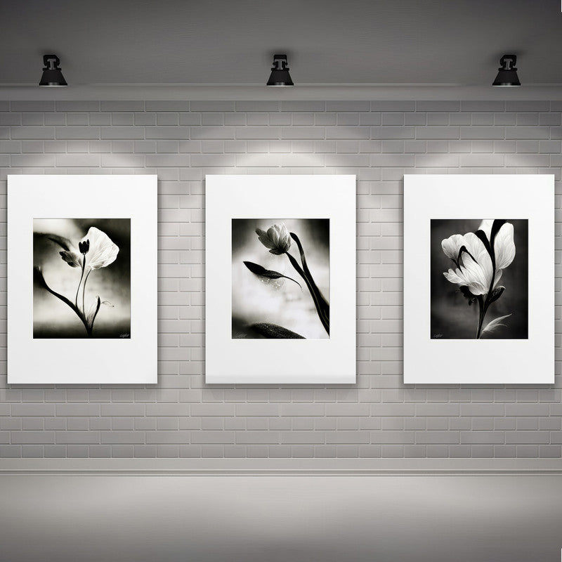 LuxuryStroke's Flower Artwork Black And White, Acrylic Floral Paintingand Flowers Abstract - Botanical Art -Set Of 3 Monochrome Botanical Paintings
