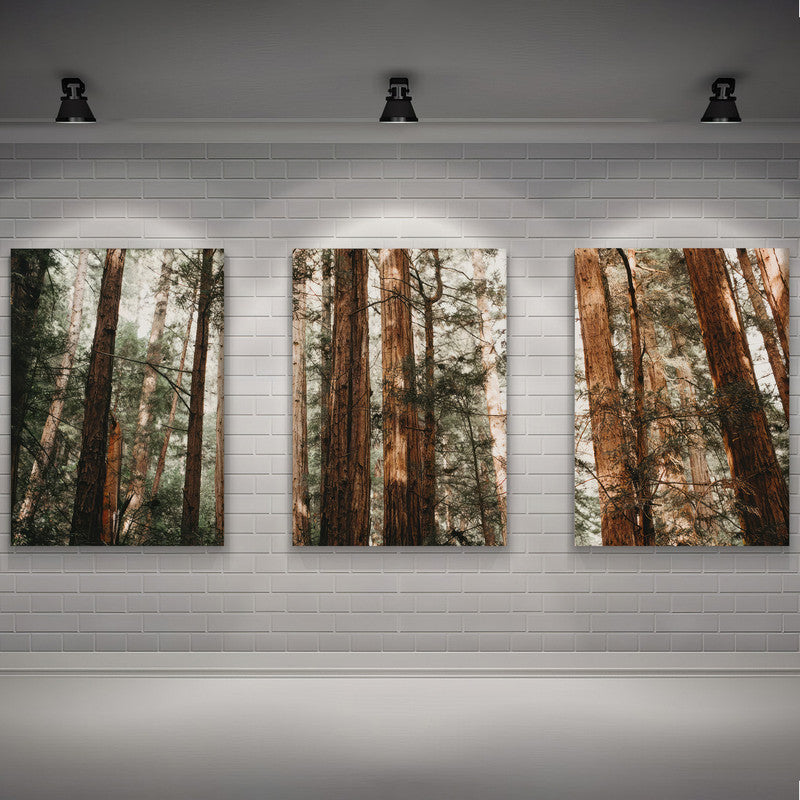 LuxuryStroke's Beautiful Landscape Art, Beautiful Art Paintings Of Natureand Landscape Painting Nature - Landscape Art - Set of 3 Forest Canopy Paintings