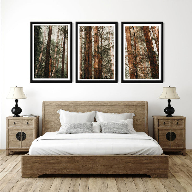 LuxuryStroke's Beautiful Landscape Art, Beautiful Art Paintings Of Natureand Landscape Painting Nature - Landscape Art - Set of 3 Forest Canopy Paintings