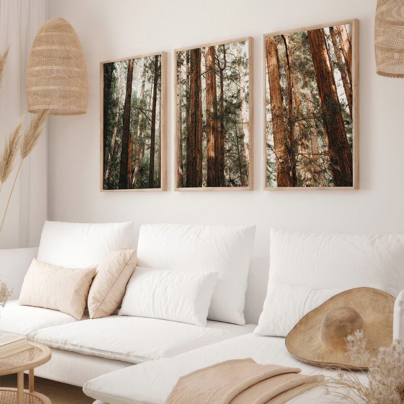LuxuryStroke's Beautiful Landscape Art, Beautiful Art Paintings Of Natureand Landscape Painting Nature - Landscape Art - Set of 3 Forest Canopy Paintings