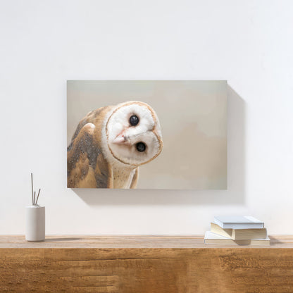 LuxuryStroke's Birds Minimalistic Painitng, Abstract Animal Paintingsand Paintings Of Animals - Owl Painting