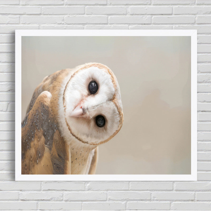 LuxuryStroke's Birds Minimalistic Painitng, Abstract Animal Paintingsand Paintings Of Animals - Owl Painting