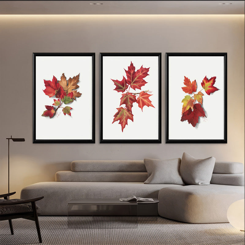 LuxuryStroke's Abstract Art With Flowers, Abstract Acrylic Flower Paintingand Beautiful Flower Painting - Botanical Art - Set Of 3 Red Blossom Paintings