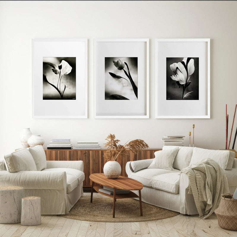 LuxuryStroke's Flower Artwork Black And White, Acrylic Floral Paintingand Flowers Abstract - Botanical Art -Set Of 3 Monochrome Botanical Paintings
