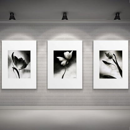 LuxuryStroke's Flower Artwork Black And White, Acrylic Floral Paintingand Flowers Abstract - Botanical Art -Set Of 3 Monochrome Botanical Paintings