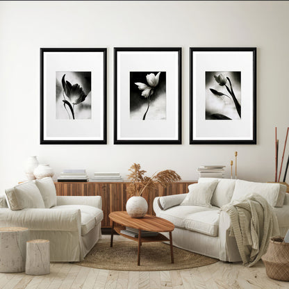 LuxuryStroke's Flower Artwork Black And White, Acrylic Floral Paintingand Flowers Abstract - Botanical Art -Set Of 3 Monochrome Botanical Paintings