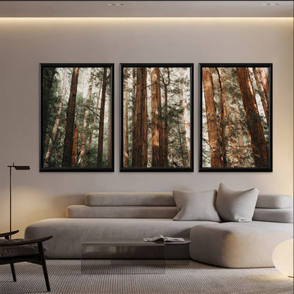 LuxuryStroke's Beautiful Landscape Art, Beautiful Art Paintings Of Natureand Landscape Painting Nature - Landscape Art - Set of 3 Forest Canopy Paintings