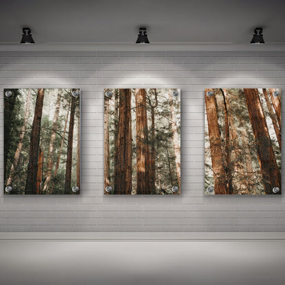 LuxuryStroke's Beautiful Landscape Art, Beautiful Art Paintings Of Natureand Landscape Painting Nature - Landscape Art - Set of 3 Forest Canopy Paintings