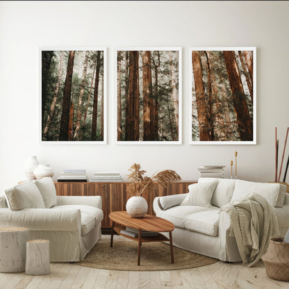 LuxuryStroke's Beautiful Landscape Art, Beautiful Art Paintings Of Natureand Landscape Painting Nature - Landscape Art - Set of 3 Forest Canopy Paintings