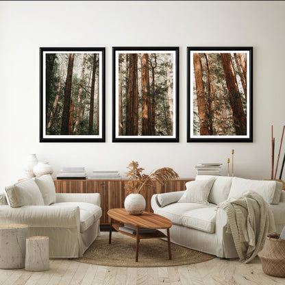 LuxuryStroke's Beautiful Landscape Art, Beautiful Art Paintings Of Natureand Landscape Painting Nature - Landscape Art - Set of 3 Forest Canopy Paintings